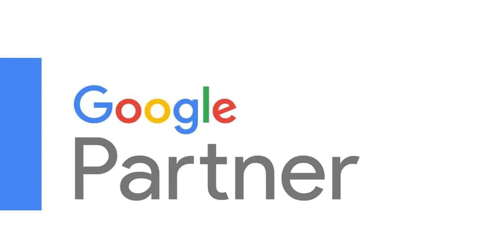 Google Partner logo displayed on a white background with a blue vertical accent